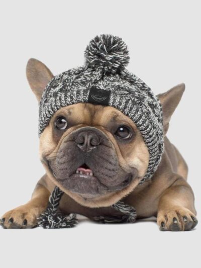 Winter Wool Dog Stocking Hat