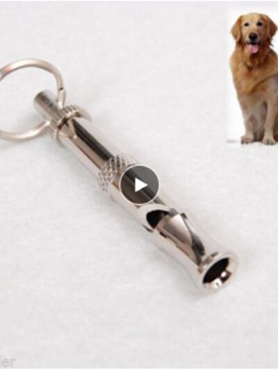 Adjustable Stainless Steel Dog Training Whistle Home