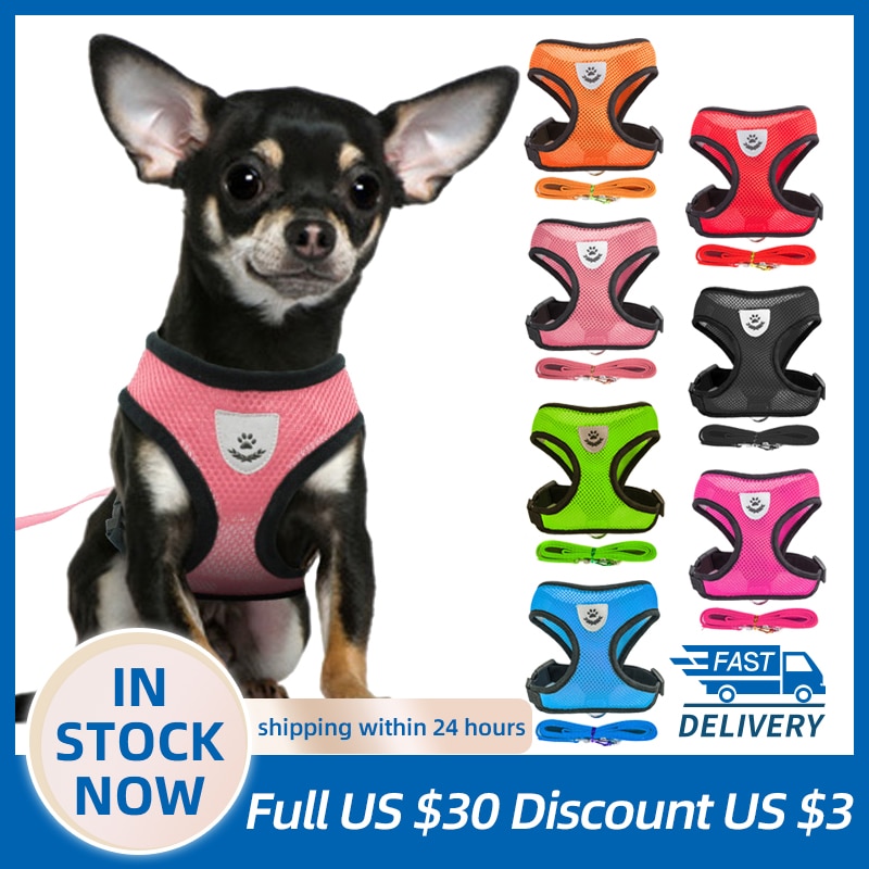 Dog Harness With Walking Leash - Image 2