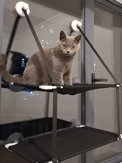 Cat Hammock Cat Window Bed Kitten Sunny Seat Hanging Mount Beds Cat Sofa Puppy Sleeping Kennel Suction Cup Wall Pet Hanging Beds