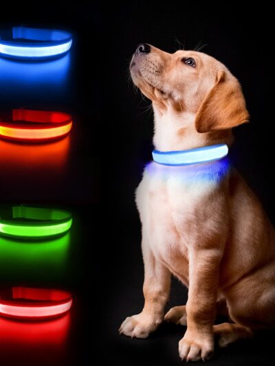 Luminous Dog Collar