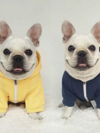 Solid Color Dog Zipper Sweaters