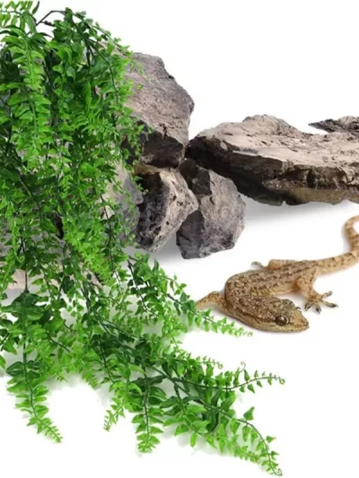 Reptile Lizards Terrarium Decoration