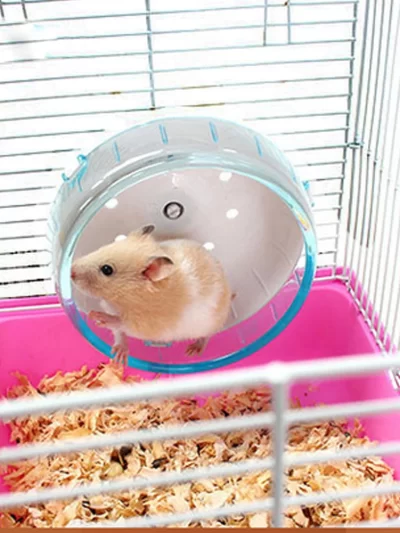 Small Pets Guinea Pig Hamster Wheel