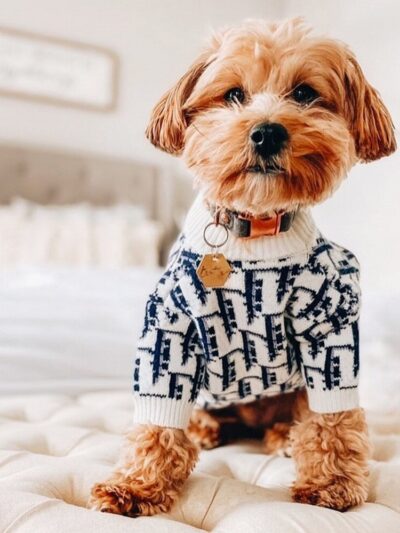 Dog Pattern Sweater