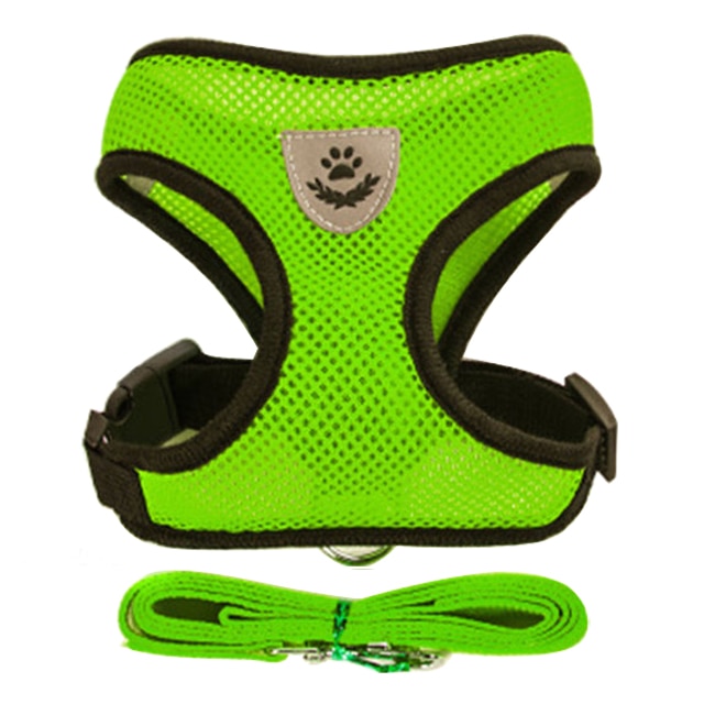 Dog Harness With Walking Leash - Image 13