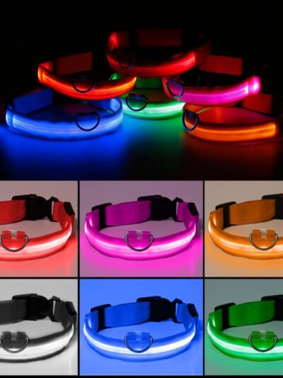LED Dog Collar