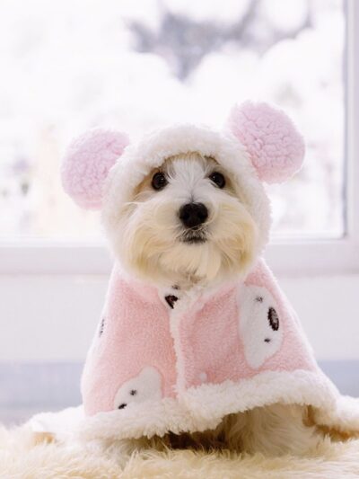Teddy Bear Pet Pajamas