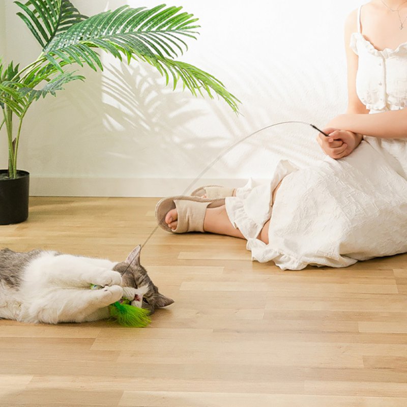 Simulation Feather Bird with Bell - Image 13