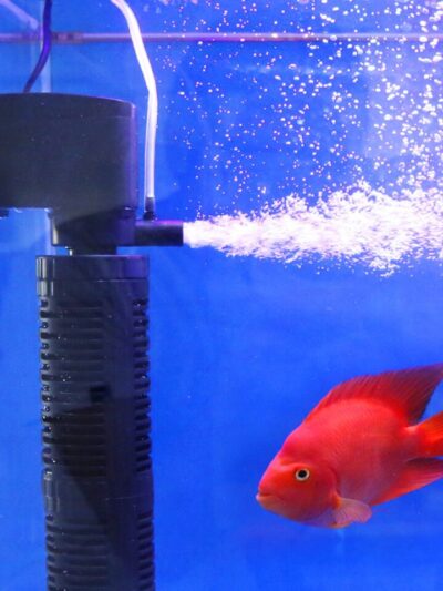 3-in-1 Aquarium Oxygen Filter