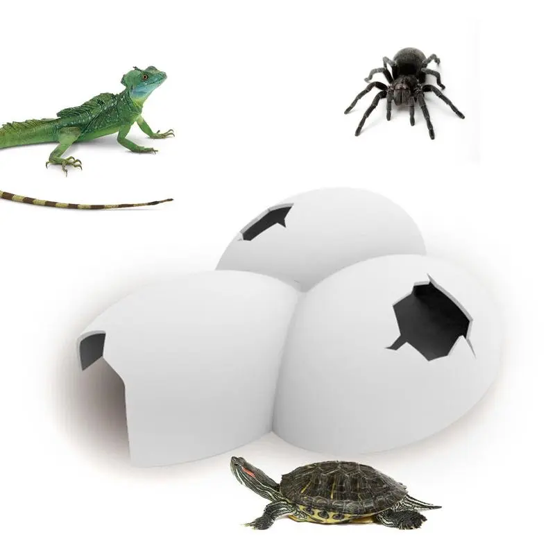 Egg Shape Simulation Rock Cave