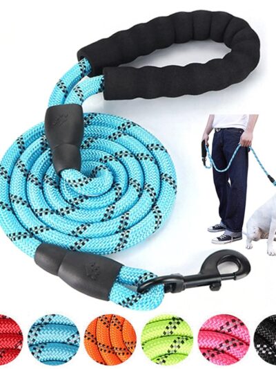 Reflective Training Leash