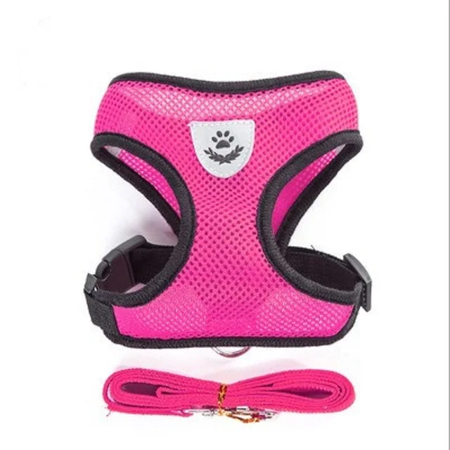 Cat Harness & Leash - Image 6