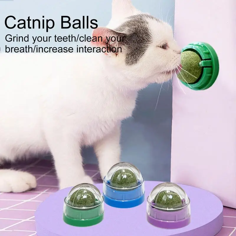 Catnip Wall Ball
