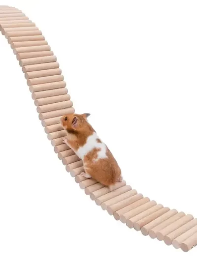 Nature Wood 2in1 Cage Ladder