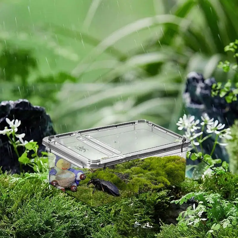 Terrarium For Reptiles - Image 3