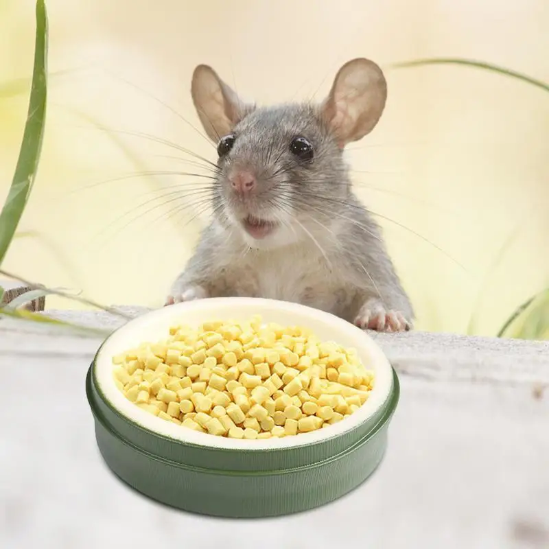 Reptile Water Bowl Food Feeder Dish - Image 2