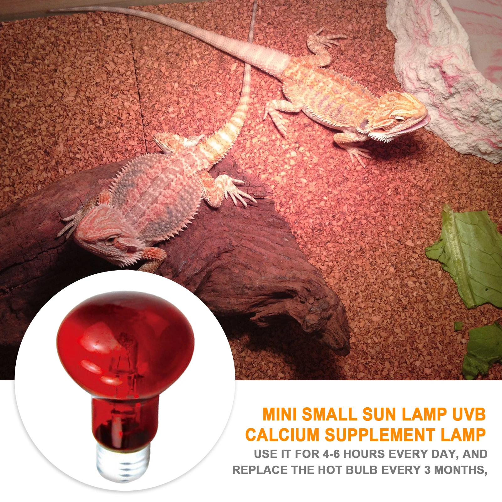 UVA Heating Light Bulb - Image 3