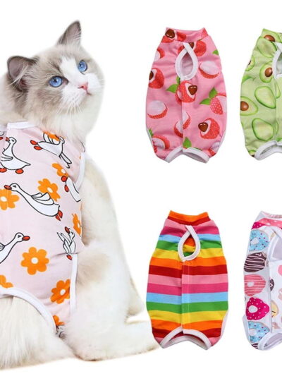 Fruit Print Cat Suit