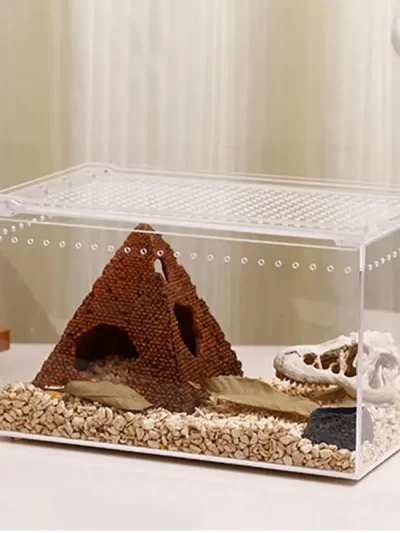 Transparent Acrylic Box