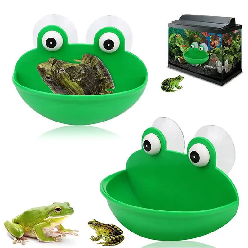 Frog Dish Holder - Image 2