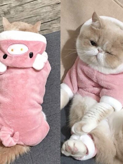 Animal Fleece Cat Jacket