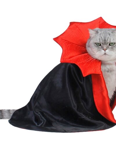 Halloween Vampire Costume