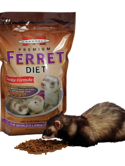 Marshall Pet Products Premium Ferret Diet Senior Formula Dry Food 1ea/4 lb